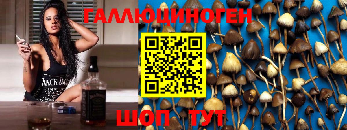 Галлюциногенные грибы MAGIC MUSHROOMS Мценск