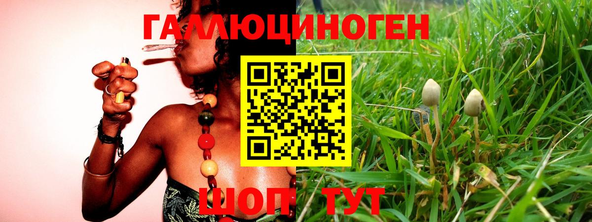 Галлюциногенные грибы ЛСД  Вход с VPN  Галлюциногенные грибы GOLDEN TEACHER  купить наркотик  Мценск 